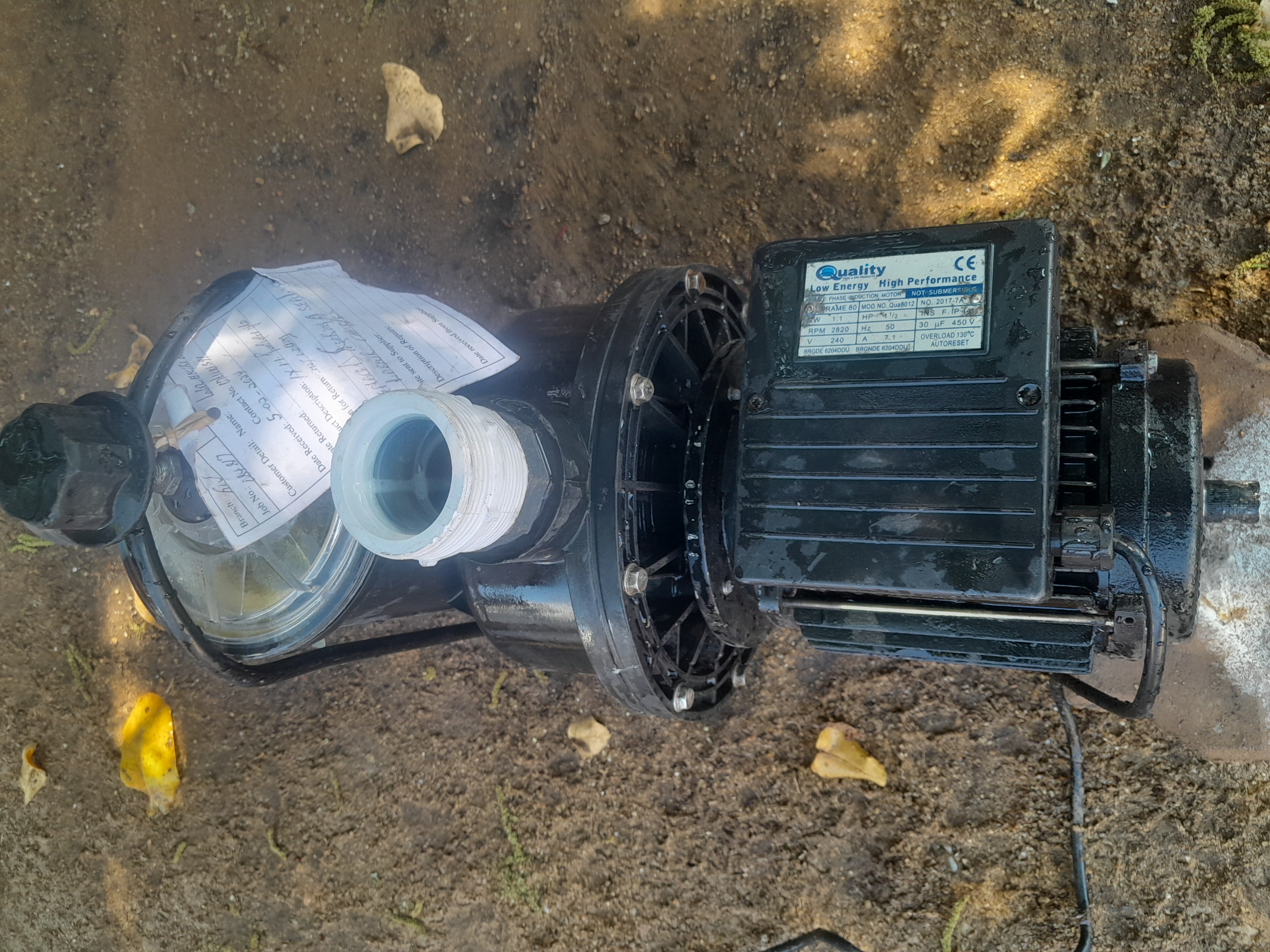 Pool pump motor
